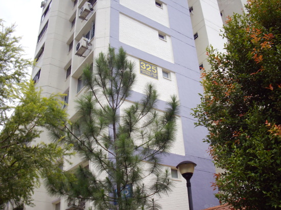 Jurong East Street 31 thumbnail photo